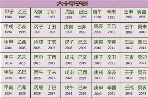 2023年兔宝宝五行|2023年五行属什么 2023年五行属什么命